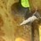 john-deere-g-image-21