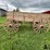 horse-drawn-wooden-wagon-with-mccormick-deering-triple-box-endgate-seeder-image-8
