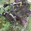 #7495-•-antique-horse-drawn-potato-digger-image-6