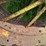 john-deere-d-image-45