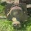 farmall-f30-image-22