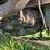 mccormick-deering-titan-10-20-image-59