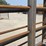 24'-free-standing-panel-w/-12'-swing-gates-(bid-per-unit)-image-11