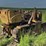 minneapolis-moline-crawler-image-5
