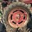 farmall-h-image-18