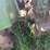 john-deere-1020-image-46