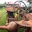 #6681-•-1937-allis-chalmers-tractor-image-21