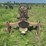 farmall-f30-image-4