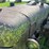 mccormick-deering-super-wd-9-image-15