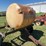 poly-tank-and-trailer-image-8