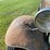 1932-ford-rat-rod-pickup-truck---with-title-image-10
