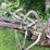 #7469-•-john-deere-plow-image-16