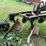 #7469-•-john-deere-plow-image-5