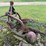 #7492-•-antique-plow-image-4