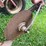 #7468-•-international-harvester-multi-bottom-plow-image-19