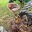 #6678-•-case-parts-tractor-image-22
