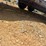 2013-80"-x-20'-t/a-gooseneck-trailer-image-11