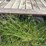 bumper-hitch-18’-deckover-trailer-image-27
