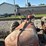 farmall-h-image-9