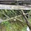 #7494-•-antique-seeder-image-10