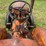 same-da12-diesel-image-15