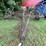 #7451-•-pull-behind-field-cultivator-image-19