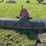 case-blade-image-4