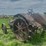mccormick-deering-10-20-image-3