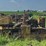 minneapolis-moline-crawler-image-6