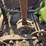 massey-harris-image-66