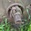john-deere-g-image-78