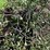 john-deere-model-70-image-34