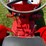 spanish-astoa-vineyard-tractor-nos!-image-20