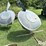 qdm-mineral-feeders-image-1