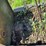 caterpillar-ten-crawler-image-34