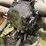 john-deere-b-image-41