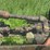 john-deere-model-b-image-30