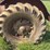 allis-chalmers-u-image-48