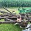 #7465-•-john-deere-3-bottom-plow-image-8