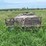 bumper-hitch-18’-deckover-trailer-image-43