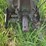 john-deere-g-image-51