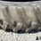 firestone-18.4-r46-tires-(bid-per-unit)-image-16