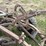 #7460-•-unknown-brand-2-bottom-plow-image-18