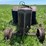 massey-harris-image-8