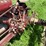 farmall-f12-image-40