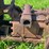 john-deere-gp-image-28