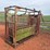 cattle-chute-image-2