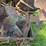 co-op-tractor-image-73