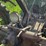 john-deere-model-a-image-40