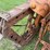 renault-with-rotaped-tracks-image-19